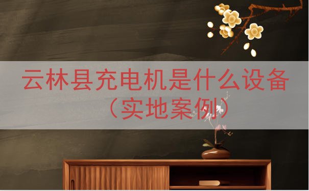 云林县充电机是什么设备（实地案例）
